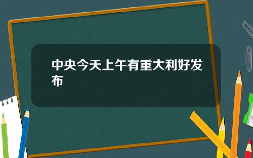 中央今天上午有重大利好发布