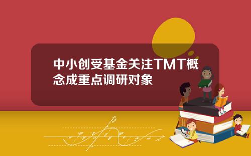 中小创受基金关注TMT概念成重点调研对象