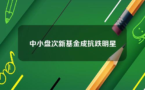 中小盘次新基金成抗跌明星