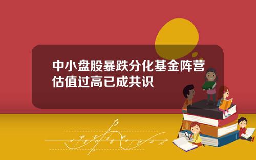 中小盘股暴跌分化基金阵营估值过高已成共识