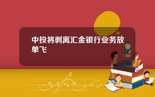 中投将剥离汇金银行业务放单飞