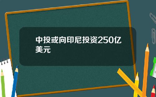 中投或向印尼投资250亿美元