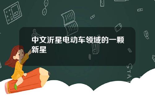 中文沂星电动车领域的一颗新星