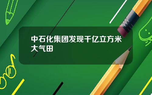 中石化集团发现千亿立方米大气田