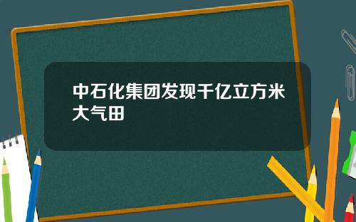中石化集团发现千亿立方米大气田