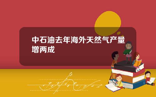 中石油去年海外天然气产量增两成