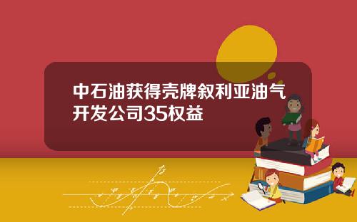 中石油获得壳牌叙利亚油气开发公司35权益