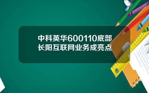 中科英华600110底部长阳互联网业务成亮点