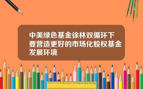 中美绿色基金徐林双循环下要营造更好的市场化股权基金发展环境