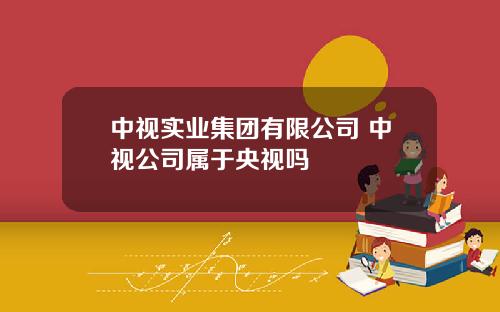 中视实业集团有限公司 中视公司属于央视吗