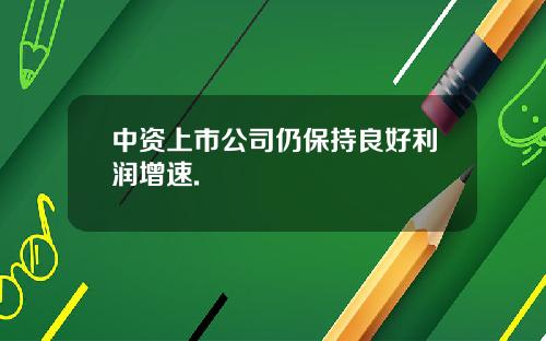 中资上市公司仍保持良好利润增速.