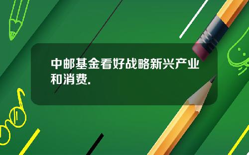 中邮基金看好战略新兴产业和消费.