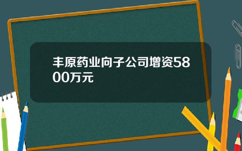 丰原药业向子公司增资5800万元
