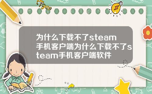 为什么下载不了steam手机客户端为什么下载不了steam手机客户端软件