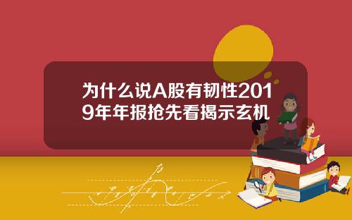为什么说A股有韧性2019年年报抢先看揭示玄机