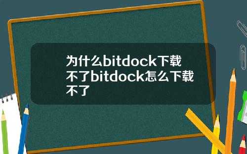 为什么bitdock下载不了bitdock怎么下载不了