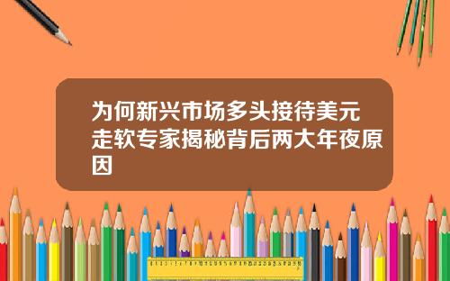 为何新兴市场多头接待美元走软专家揭秘背后两大年夜原因