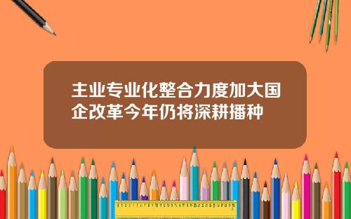 主业专业化整合力度加大国企改革今年仍将深耕播种