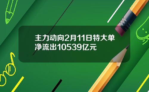 主力动向2月11日特大单净流出10539亿元