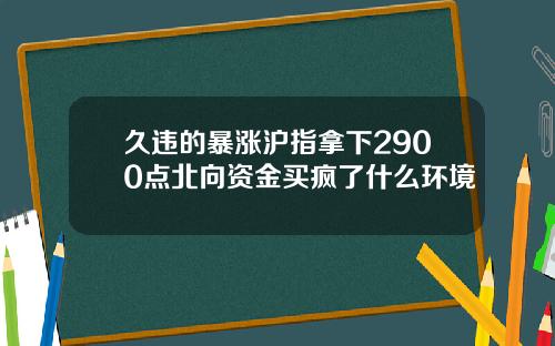 久违的暴涨沪指拿下2900点北向资金买疯了什么环境