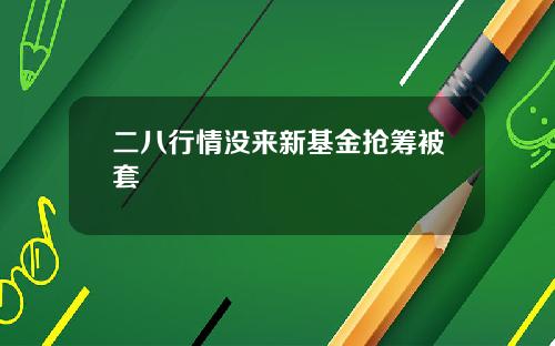 二八行情没来新基金抢筹被套