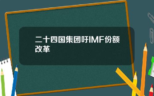 二十四国集团吁IMF份额改革