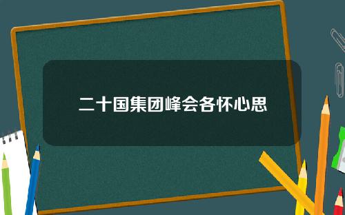 二十国集团峰会各怀心思