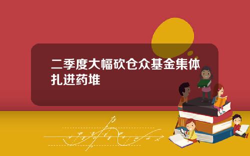 二季度大幅砍仓众基金集体扎进药堆
