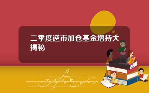 二季度逆市加仓基金增持大揭秘