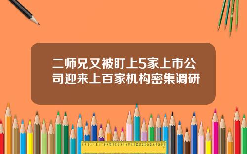 二师兄又被盯上5家上市公司迎来上百家机构密集调研