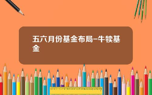 五六月份基金布局-牛犊基金