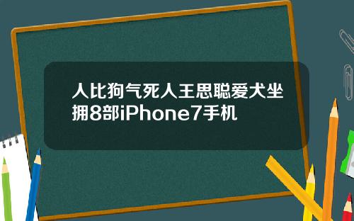 人比狗气死人王思聪爱犬坐拥8部iPhone7手机