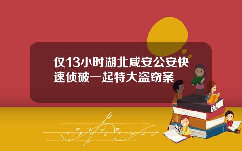 仅13小时湖北咸安公安快速侦破一起特大盗窃案