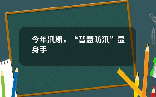 今年汛期，“智慧防汛”显身手