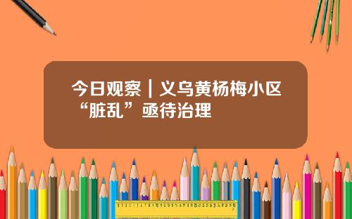 今日观察｜义乌黄杨梅小区“脏乱”亟待治理