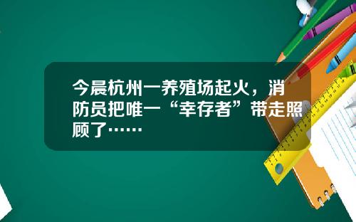 今晨杭州一养殖场起火，消防员把唯一“幸存者”带走照顾了……