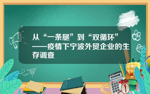 从“一条腿”到“双循环”——疫情下宁波外贸企业的生存调查