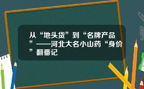 从“地头货”到“名牌产品”——河北大名小山药“身价”翻番记