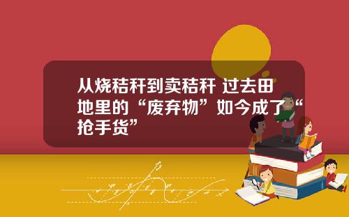 从烧秸秆到卖秸秆 过去田地里的“废弃物”如今成了“抢手货”