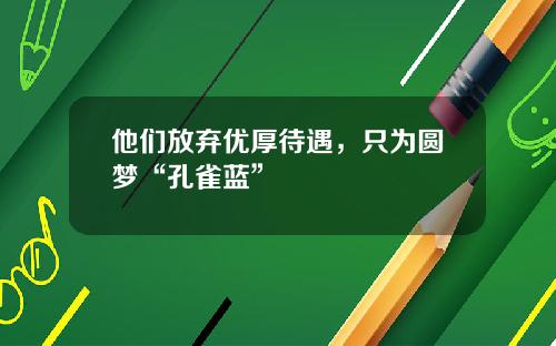 他们放弃优厚待遇，只为圆梦“孔雀蓝”