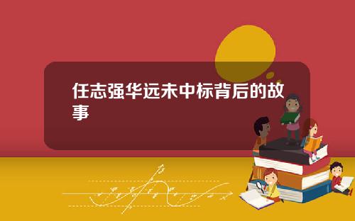 任志强华远未中标背后的故事