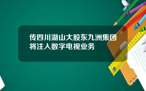 传四川湖山大股东九洲集团将注入数字电视业务