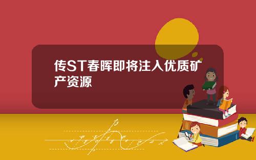 传ST春晖即将注入优质矿产资源
