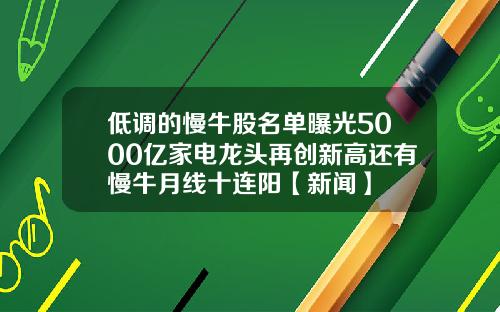 低调的慢牛股名单曝光5000亿家电龙头再创新高还有慢牛月线十连阳【新闻】