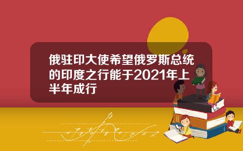 俄驻印大使希望俄罗斯总统的印度之行能于2021年上半年成行