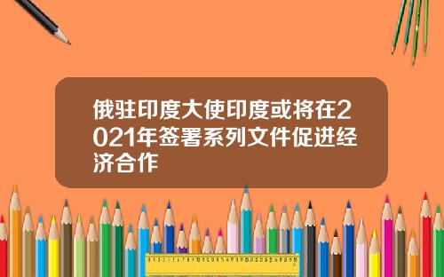 俄驻印度大使印度或将在2021年签署系列文件促进经济合作