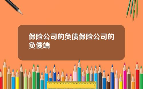 保险公司的负债保险公司的负债端