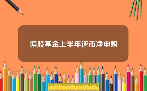 偏股基金上半年逆市净申购
