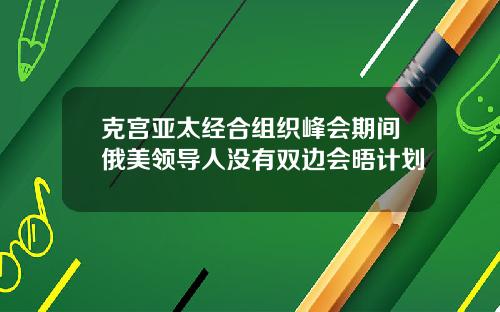 克宫亚太经合组织峰会期间俄美领导人没有双边会晤计划