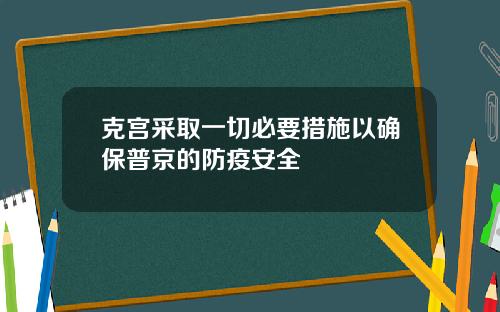 克宫采取一切必要措施以确保普京的防疫安全